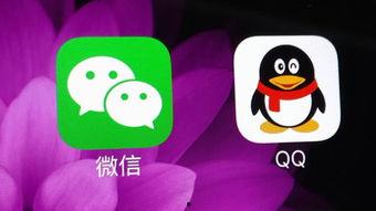 qq吃瓜视频无偿分享,免费分享，畅享娱乐盛宴