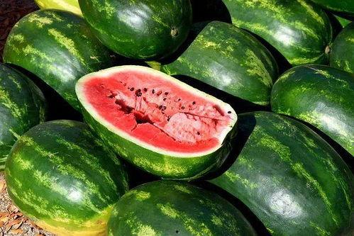 情侣旺财吃瓜视频大全,笑料百出视频大全