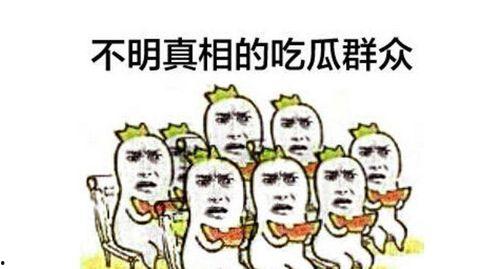 吃瓜群众无聊网友视频,揭秘无聊网友的趣味视频盛宴