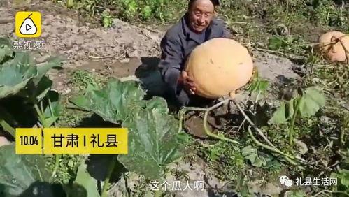 礼县吃瓜事件真相视频,真相视频曝光背后的惊人内幕