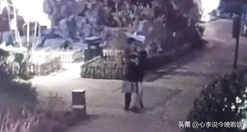 株洲吃瓜视频曝光事件真相,揭秘背后真相与网络舆论的反思