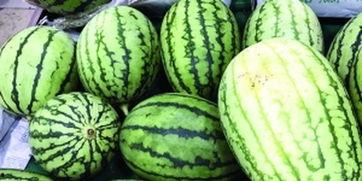 吃瓜视频在哪里有版权啊,吃瓜视频版权归属之谜