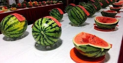 吃瓜群众摆台开饮视频,一场别开生面的视觉盛宴